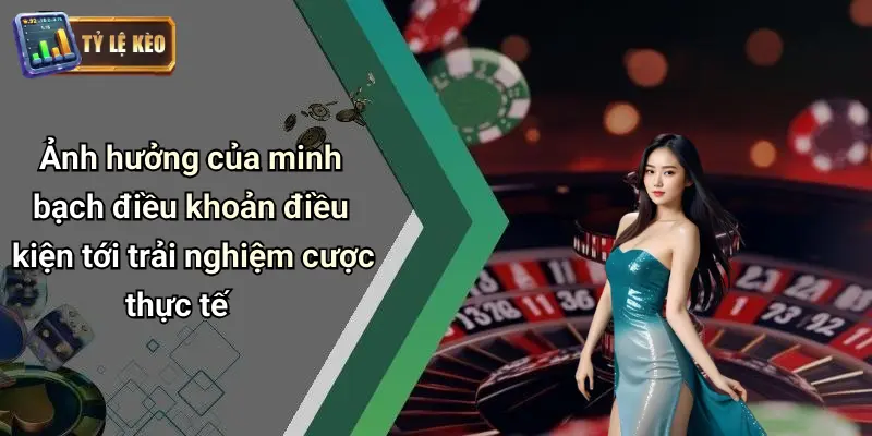Điều Khoản Điều Kiện